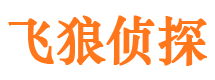 苏仙外遇调查取证